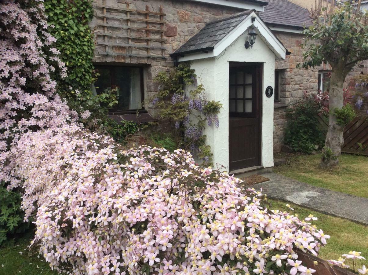 Sycamore Cottage Conwy Eksteriør billede