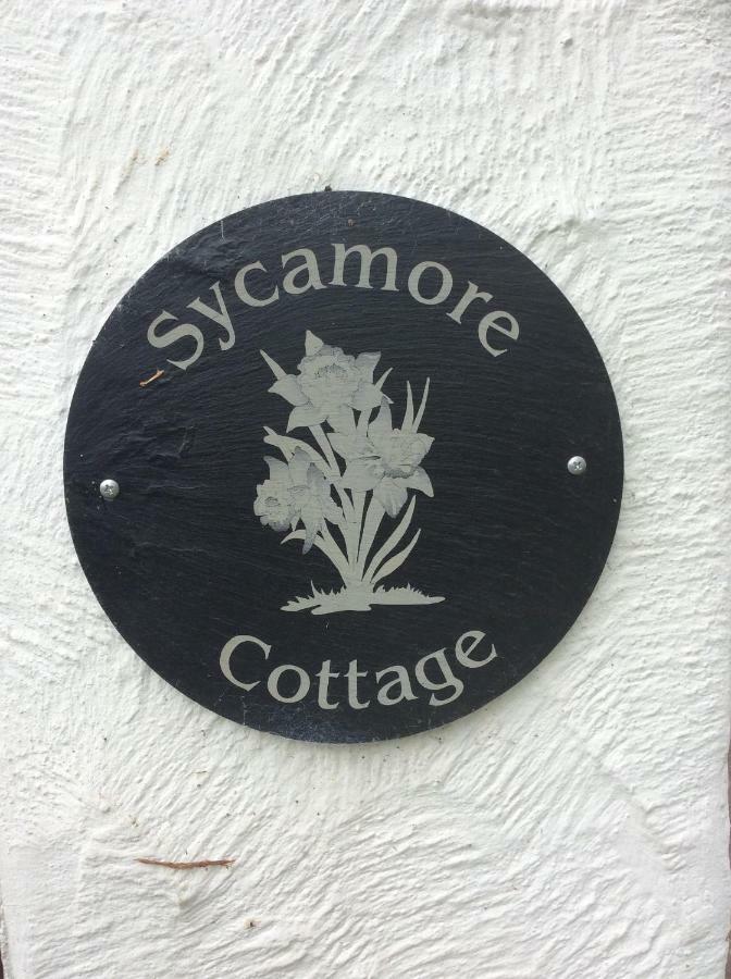 Sycamore Cottage Conwy Eksteriør billede
